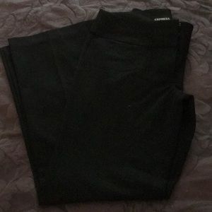 Express dress pants wide leg
